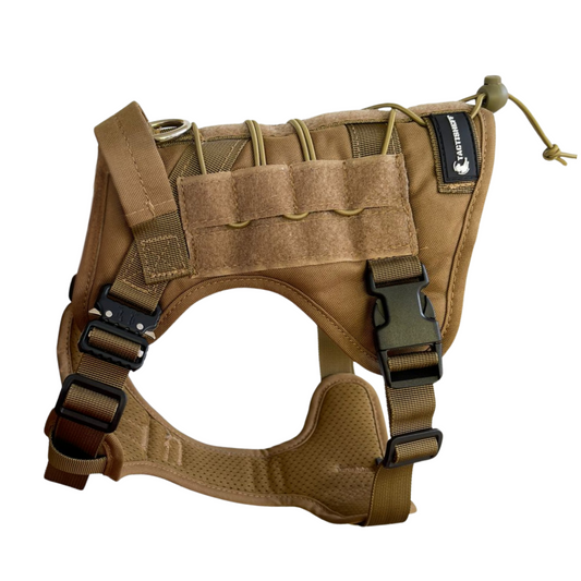 ARNÉS PREMIUM COYOTE